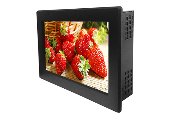 18.5 Panel -mount LCD Monitor inch