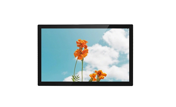 AMG-21IPRV01T1 High Brightness Display