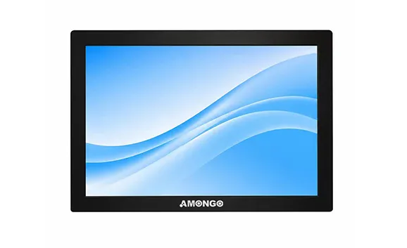 19 Inch VESA/Wall Mount LCD Monitor